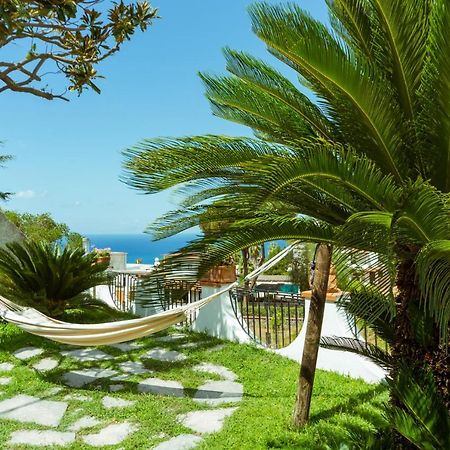 Villa Araucaria Casamicciola Terme Ngoại thất bức ảnh