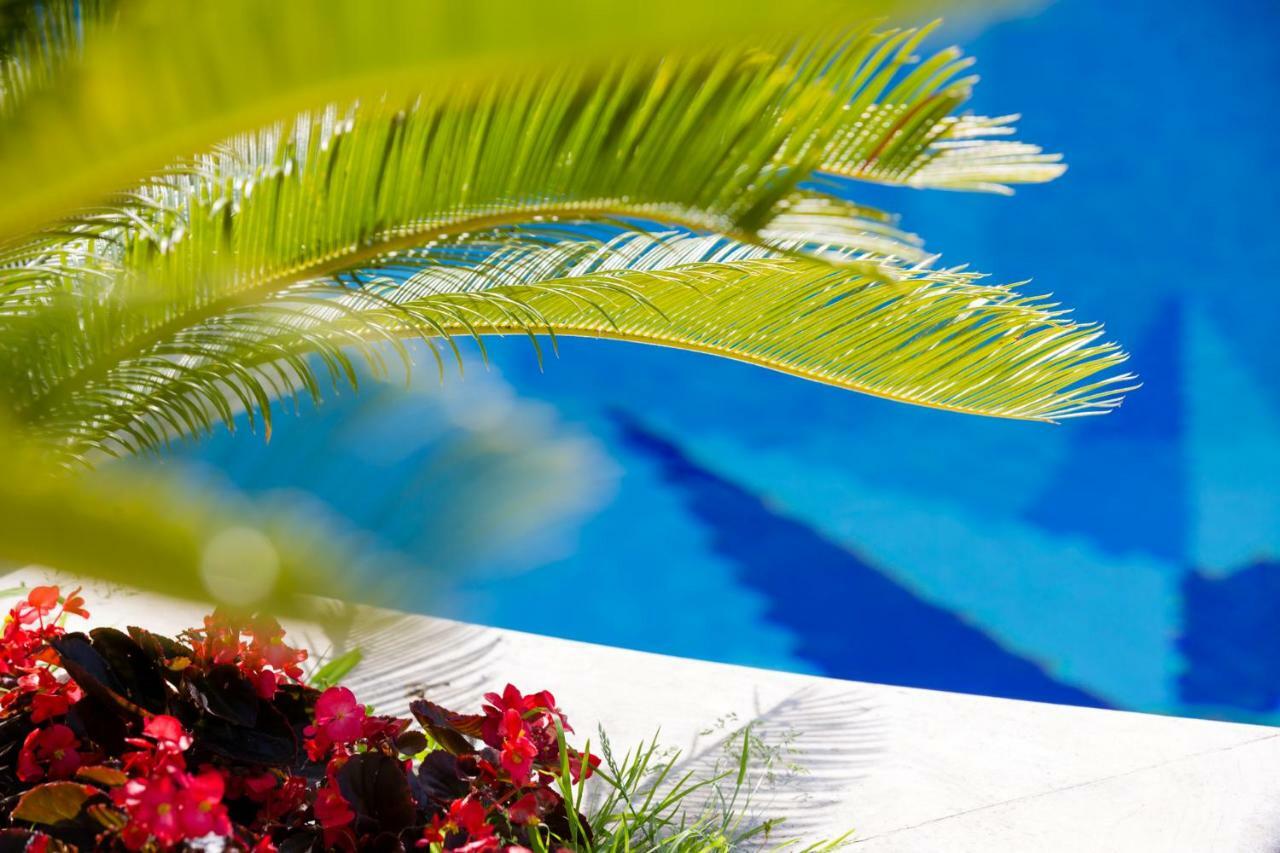 Villa Araucaria Casamicciola Terme Ngoại thất bức ảnh
