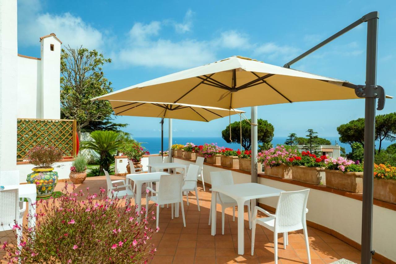 Villa Araucaria Casamicciola Terme Ngoại thất bức ảnh