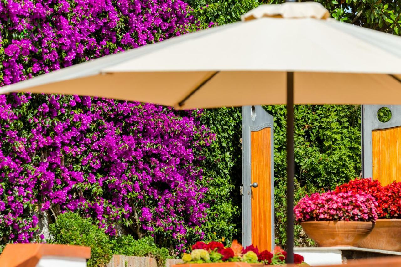 Villa Araucaria Casamicciola Terme Ngoại thất bức ảnh